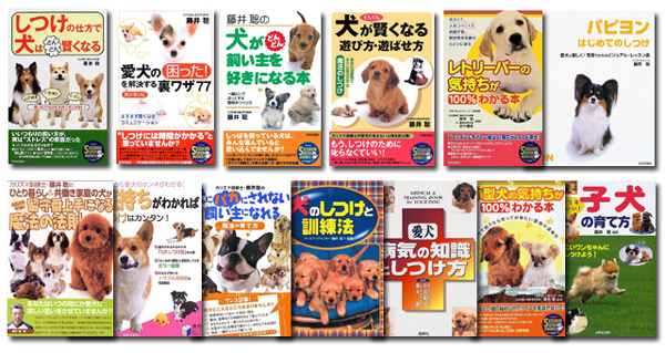 だけみた Yukiyuki様専用⭐︎ダメ犬脱出！ by Reicy kids shop｜ラクマ 藤井聡の犬のしつけ方法 DVDの通販 います