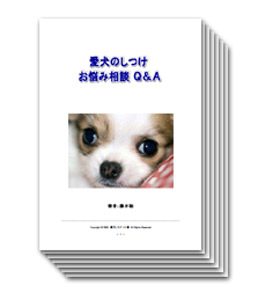 ̂YݑkQ&A